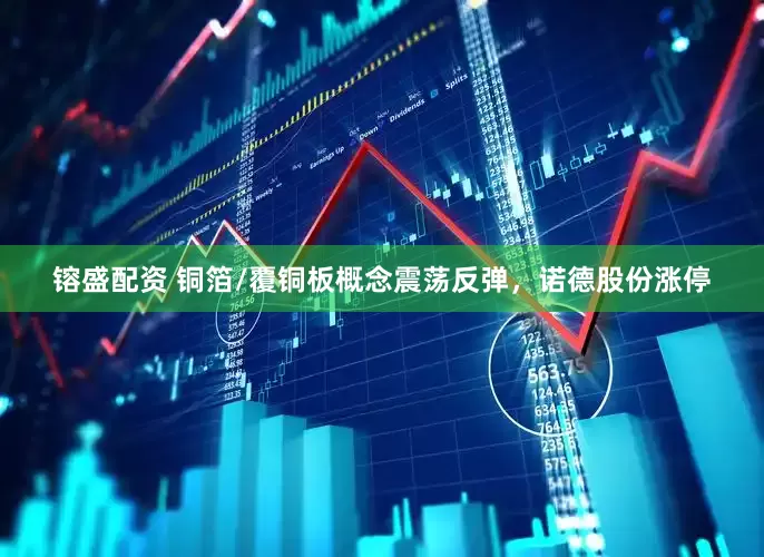 镕盛配资 铜箔/覆铜板概念震荡反弹，诺德股份涨停