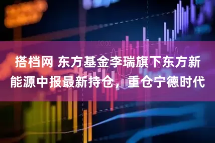 搭档网 东方基金李瑞旗下东方新能源中报最新持仓，重仓宁德时代