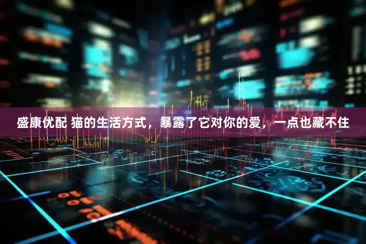 盛康优配 猫的生活方式，暴露了它对你的爱，一点也藏不住