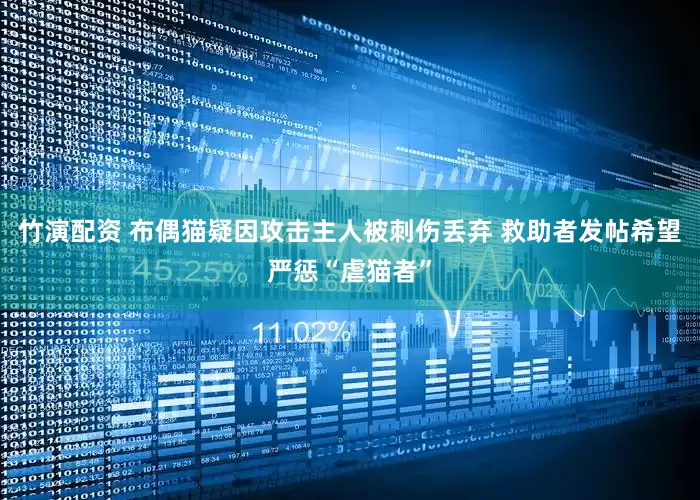竹演配资 布偶猫疑因攻击主人被刺伤丢弃 救助者发帖希望严惩“虐猫者”