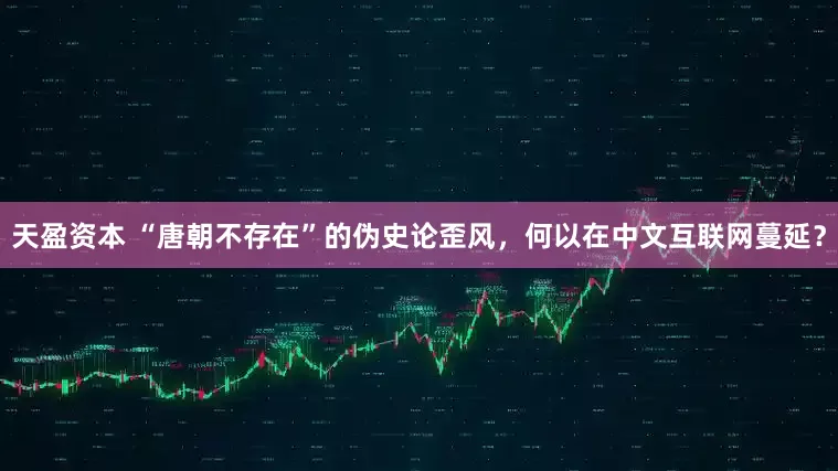 天盈资本 “唐朝不存在”的伪史论歪风，何以在中文互联网蔓延？